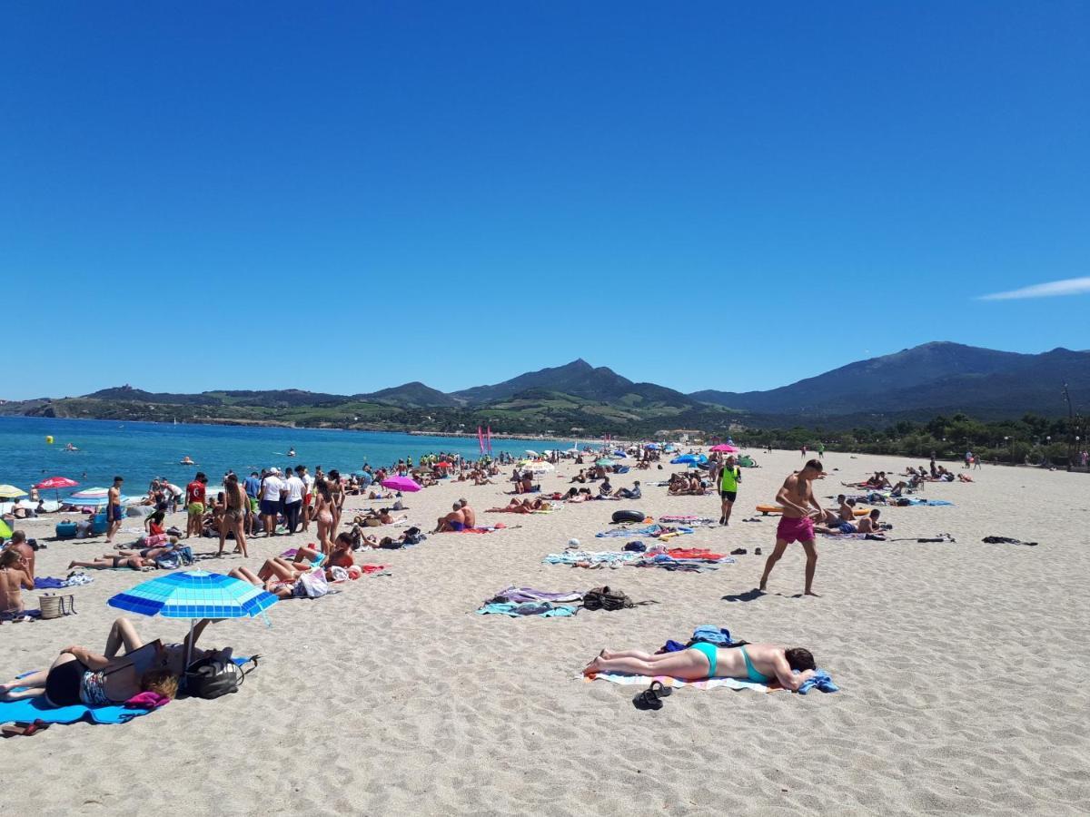 Plein Sud 142, Climatise Appartement Argelès-sur-Mer Buitenkant foto